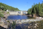 Barriers in the Nea River Led to Increased Inbreeding